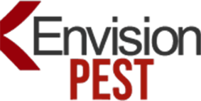 Envision Logo